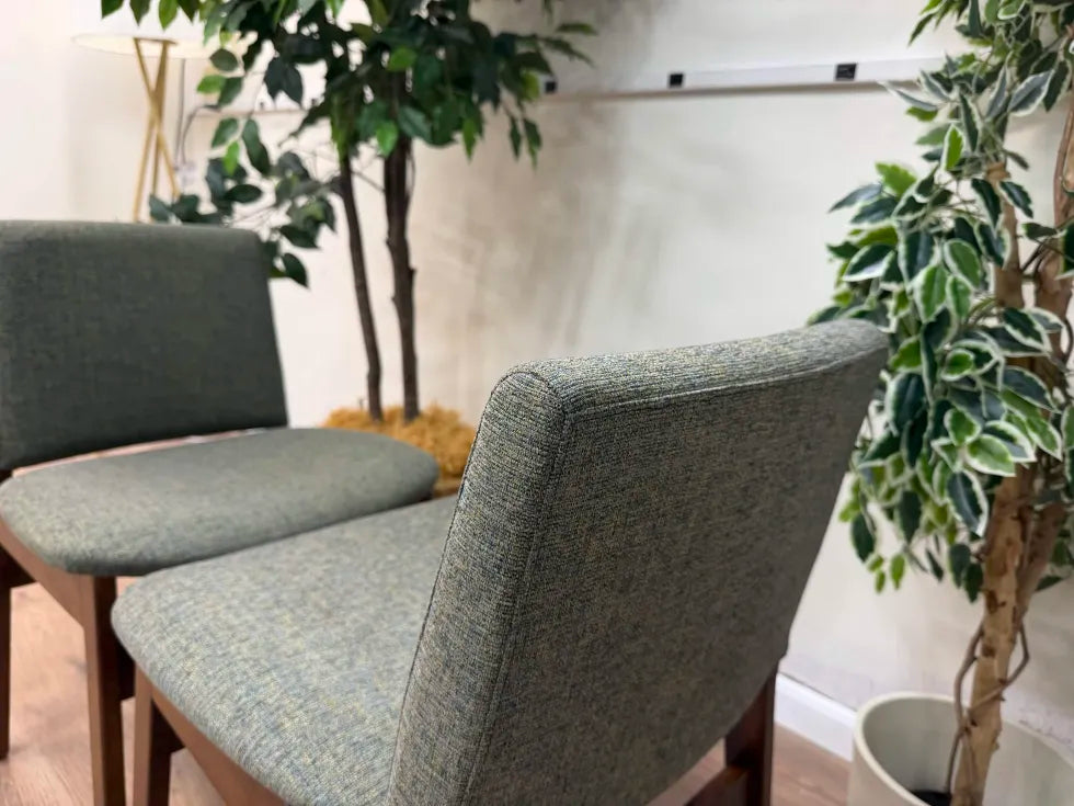 Nosh Dining Chair - Walnut and Hemlock Green